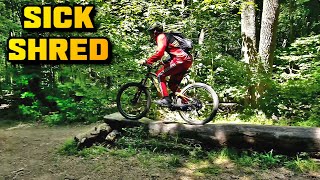 Giant Trance 3 2019 Shreds at NOX PA