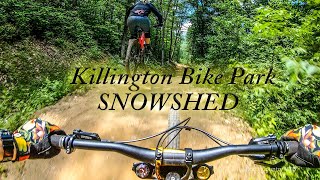 Killington Bike Park's SNOWSHED 4K | MTB 2020