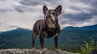 Today, we lost someone special