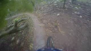 Logs Track Extended