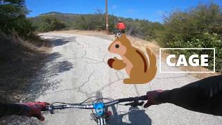 SQUIRREL CAGE : MTB