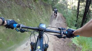 Jaws - Full track - Raw