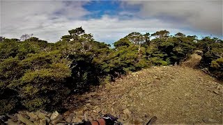 Sky to Sea: From the top of Mt. Robertson to...