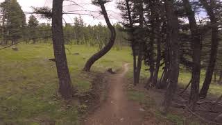 Discovery Bike Park - Roller Girl - Mountain...