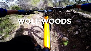 Bosc del Llop - Enduro Trail