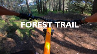 Forest Trail - Overgrown Enduro Trail
