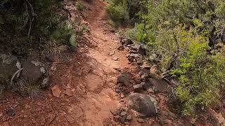 Turkey Creek Trail, This seldom used trail offers vistas an…