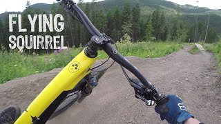 Flying Squirrel (Gimbal POV)