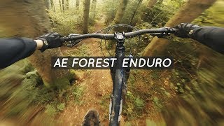Ae Forest Enduro Trails | Mountain Biking in...