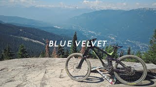 Mountain Biking Blue Velvet + Original Sin |...