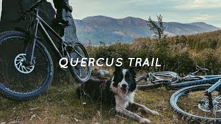 Mountain Biking Whinlatter Blue Route | With...