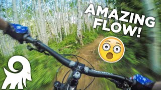 AMAZING Flow & Hero Dirt in Park City, Utah!!!