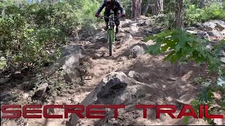 FREE RIDING AINT DEAD! / SAN BERNARDINO...
