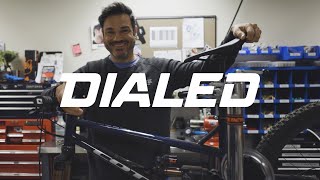 Learning to adapt. (DIALED is back!)