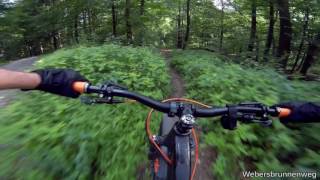 Let's Ride MTB - Heidelberg // Weißer Stein...