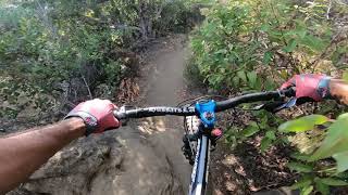 PANIC DISCO PANIC : MTB