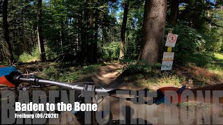 Baden to the Bone - Freiburg - MTB-Trails