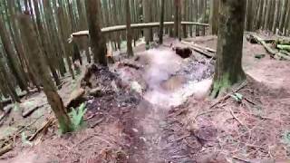 Riding some jumps at the wood lot | Maple Ridge