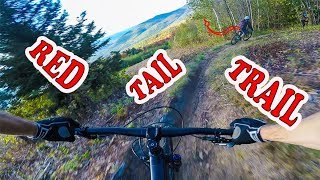 Mountain Biking Red Tail Trail | North Conway,...