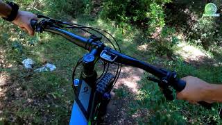 Micro trail in Parnitha