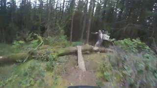 Trunk Monkey | Mt Cypress