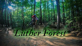 Luther Forest MTB 2020 | 4K