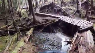 Riding 2001 and Pacheko Street | Sunshine Coast