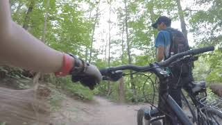Don Valley Trails