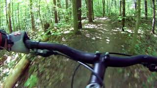 Durham Forest - Burnt Toast