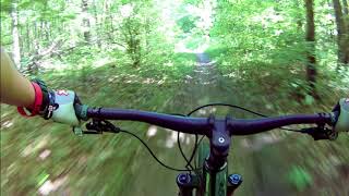 Durham Forest Demo Day
