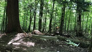 Bear Run Log Ride