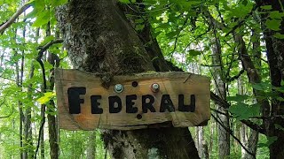 Federeau to Guave Jellie
