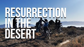 Resurrection in the desert - Alexandra...