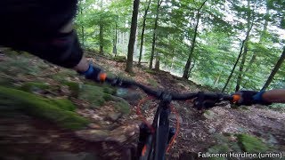 Heidelberg // Königstuhl Falknerei Hardline...