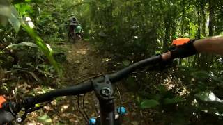 Maciço da Costeira - Flowrestinha
