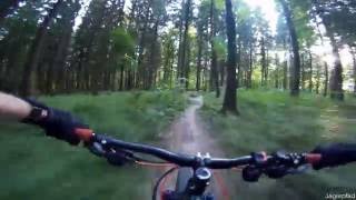 Let's Ride MTB - Heidelberg // Königstuhl -...
