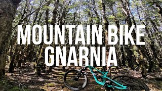 Unhinged Mountain Bike Trail, St Arnaud - New...