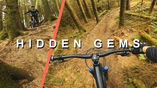 Exploring Local Woods and Finding INCREDIBLE...