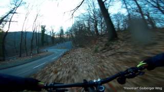 Let's Ride MTB - Heidelberg // Laubgestöber...