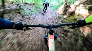 Kobilica trail