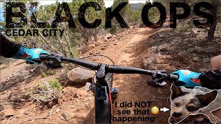 Black Ops Trail - Cedar City - Mountain Biking...