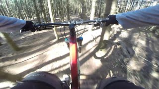 New Gap Jumps in the Magic Forest will have...