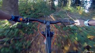 Let's Ride MTB - Heidelberg // Königstuhl...