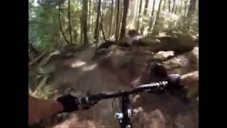 North Shore Mountain Biking - Pangor - Mount...