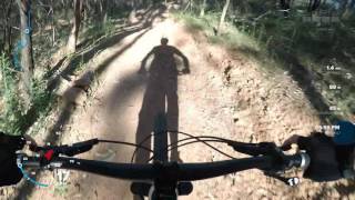 Fox Creek - Ant Logic
