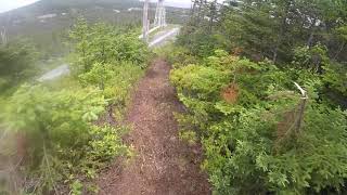 Old Hydro Line - The Tolt, Witless Bay, NL -...