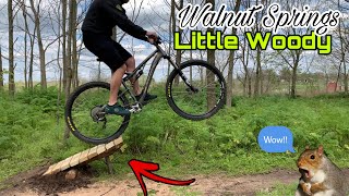 mini mtb kicker