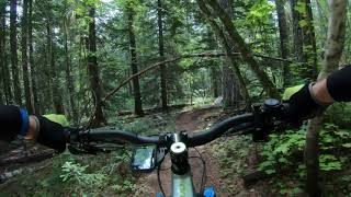 Schweitzer XC Trails