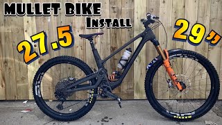THE MULLET BIKE COMES TO LIFE!!! (ZIGGY LINK)