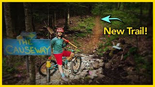 Building The First Trail in Our Backyard Bike...